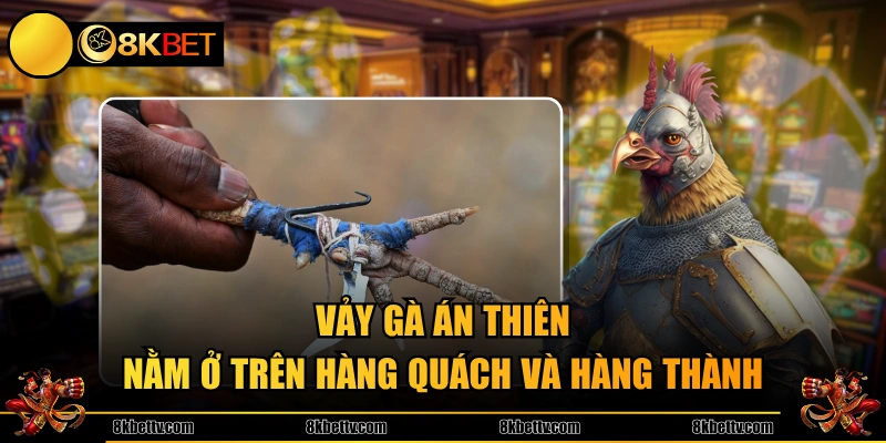 Vảy gà Án Thiên nằm ở trên hàng quách và hàng thành